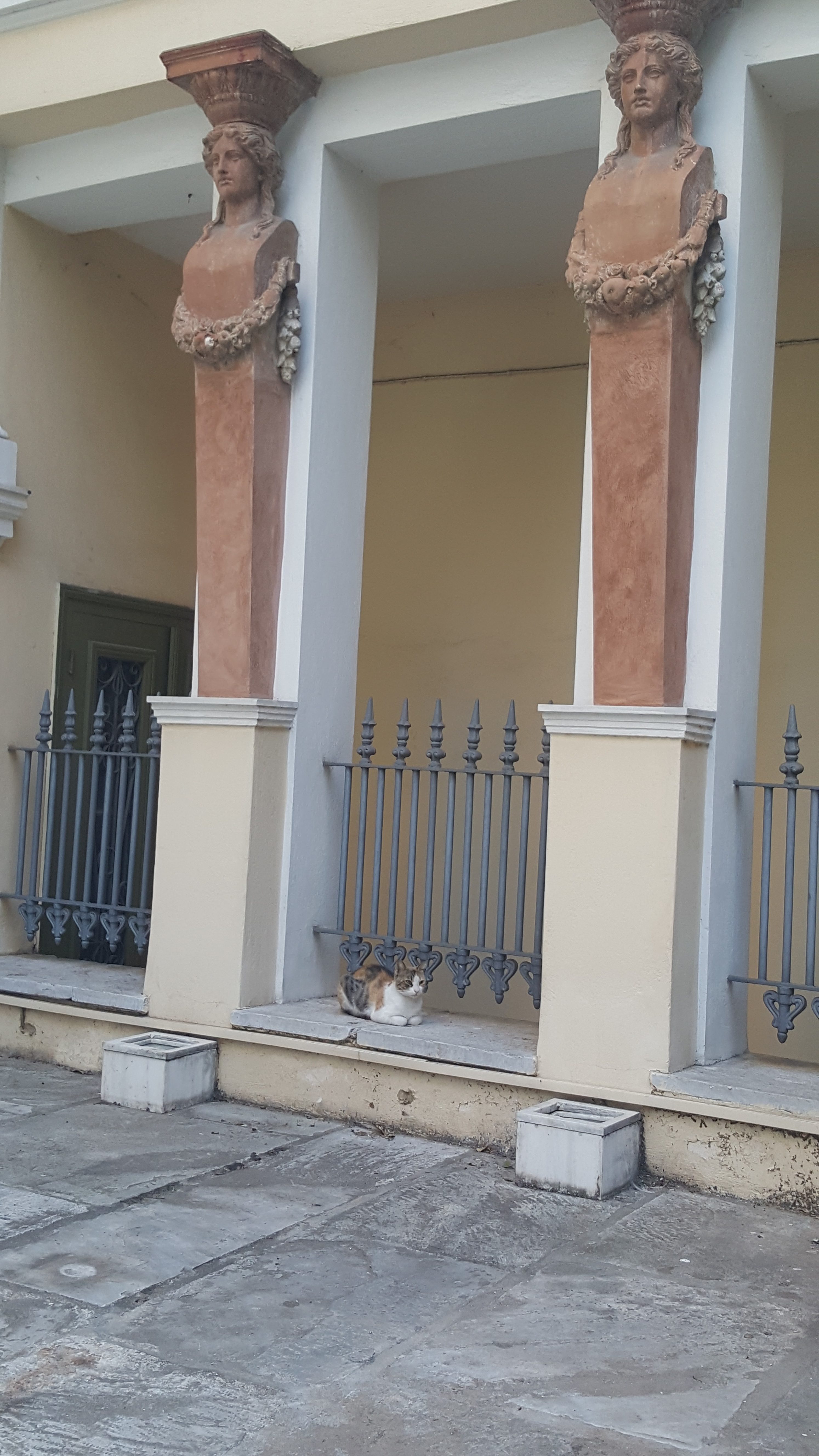 Cats in Greece