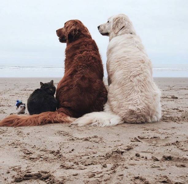 Σεπτέμβριος