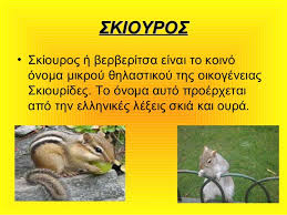 βροχή