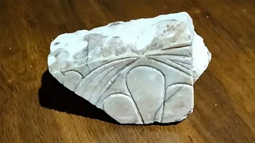 επαναπατρισμός